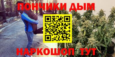 мдпв Дубна