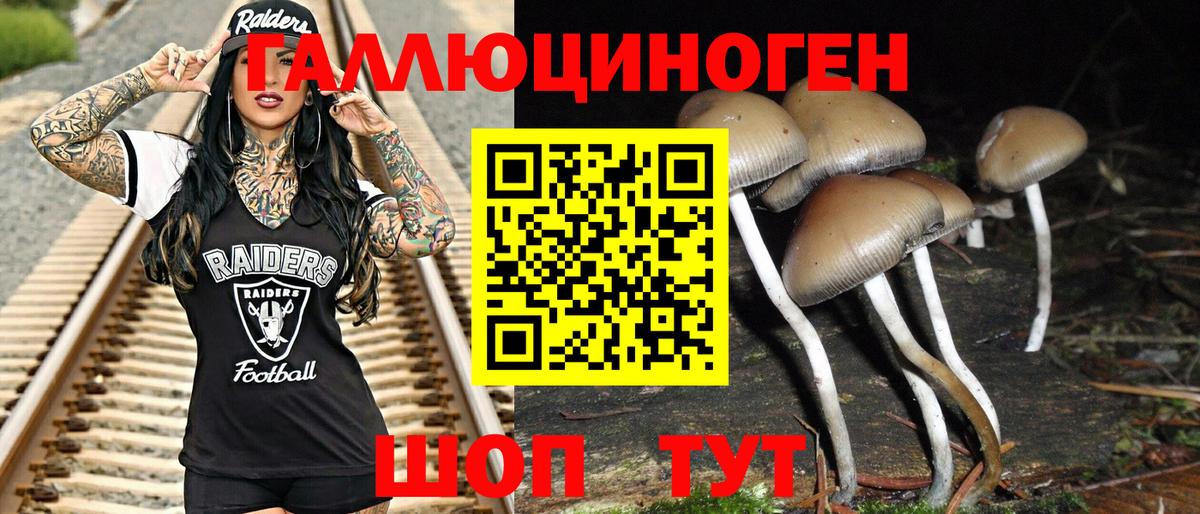 Галлюциногенные грибы Psilocybe Муравленко