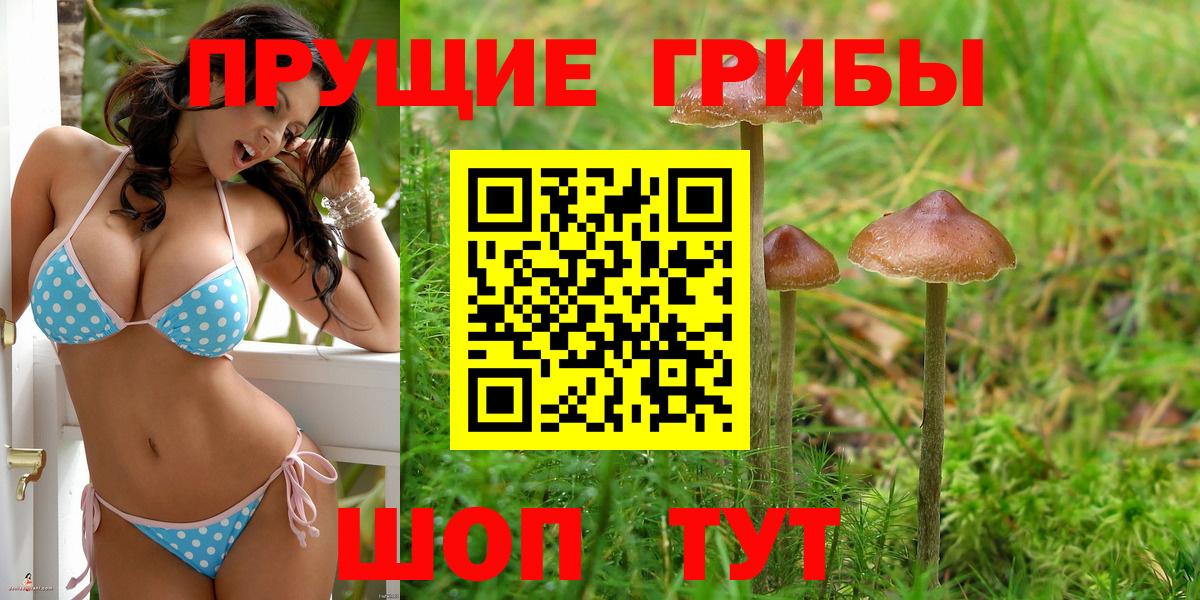 Галлюциногенные грибы Magic Shrooms  Вход с VPN  Муравленко 